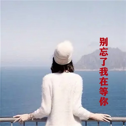 别忘了我在等你DJ
