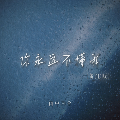 你永远不懂我(笛子DJ版)