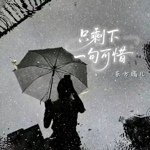 只剩下一句可惜