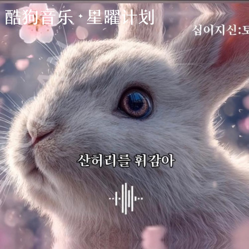 多情的生肖兔 (토끼 들어온다)