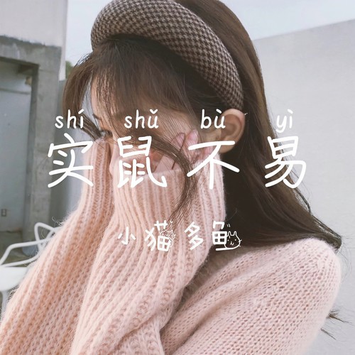 小丑竟是我自己(热搜伤感轻音乐) - 小猫多鱼