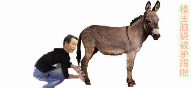 【视频欣赏】何茫然 点击量[80] 回帖量[12]