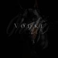 去远方 (Explicit) - VodKe&HSHK