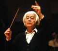 Sergiu Celibidache&Wiener Symphoniker