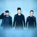 The Script