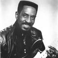 ike turner