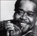 James Cotton