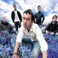 Shed Seven