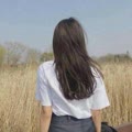 最后一页（雨停滞天空之间） - 几度
