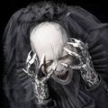 Sopor Aeternus & The Ensemble Of Shadows