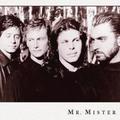 Mr. Mister