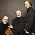 Beaux Arts Trio&Henryk Szeryng&Thomas Brandis&Wilhelm Kempff