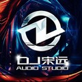 跳楼机 (DJ版) - DJ宋远