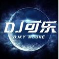 叮咚鸡 - DJ可乐Rmix