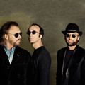 Bee Gees&SG Lewis