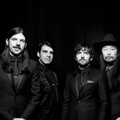 The Avett Brothers