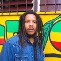 Stephen Marley&Ziggy Marley