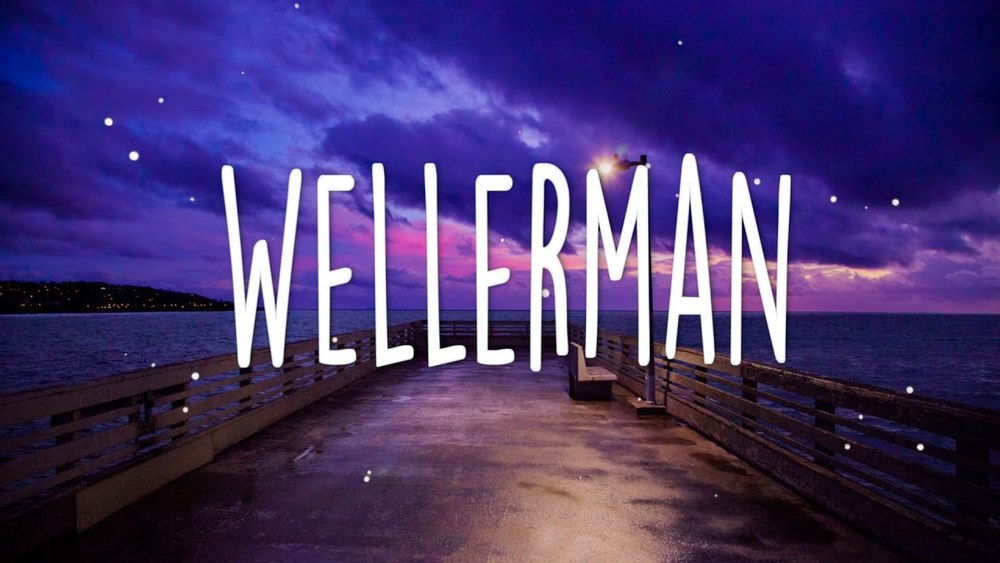 Nathan Evans - Wellerman (Sea Shanty)