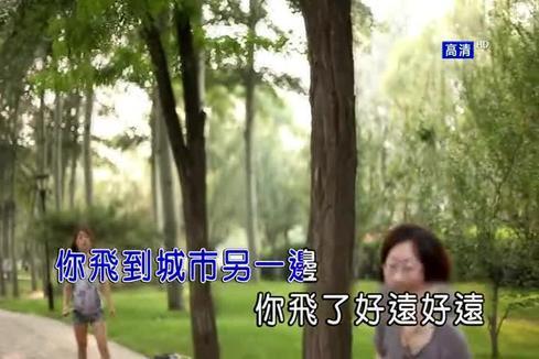 好妹妹乐队 - 你飞到城市另一边