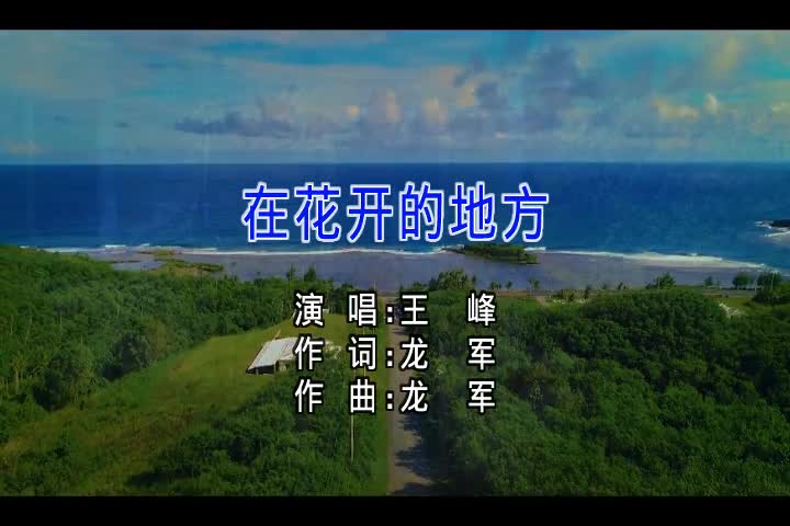 王峰 - 在花开的地方
