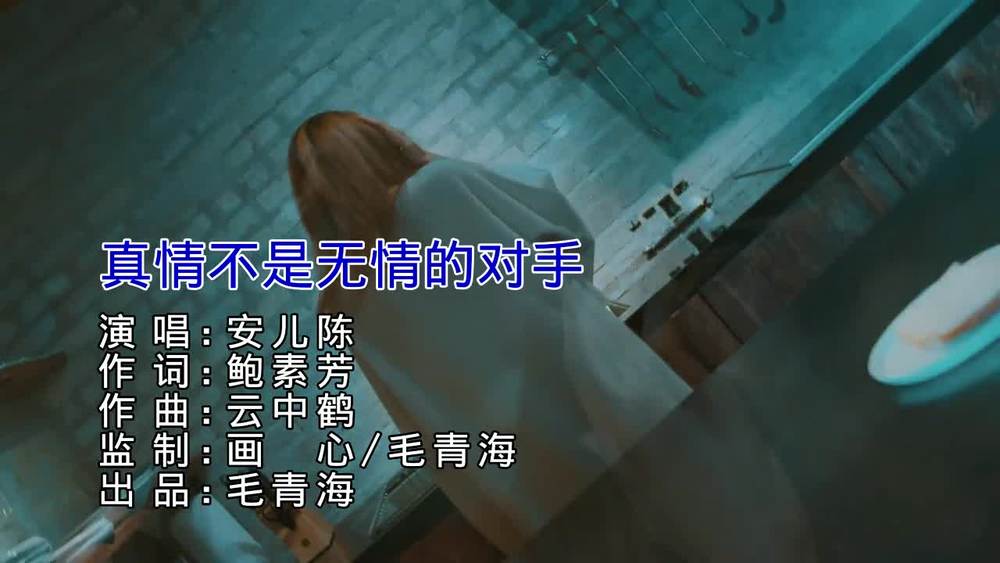 毛青海&安儿陈《真情不是无情的对手》