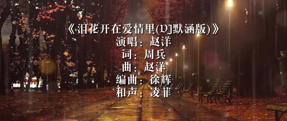 赵洋《泪花开在爱情里 (DJ默涵版)》