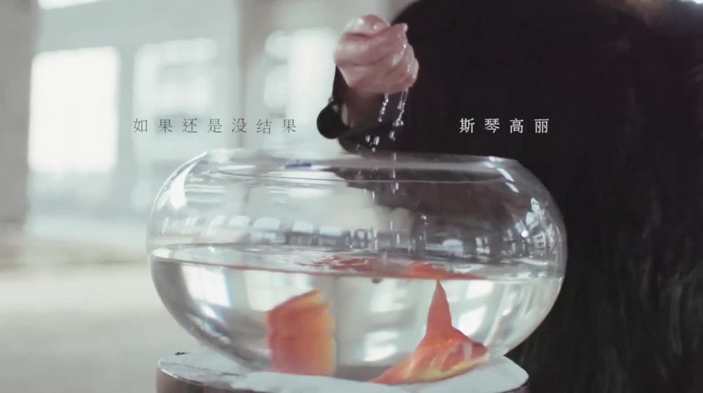 斯琴高丽 - 如果还是没结果