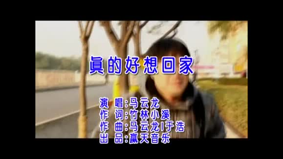 马云龙《真的好想回家》