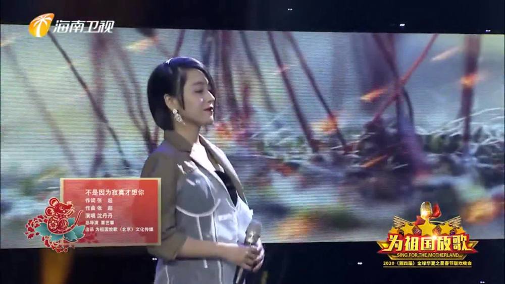 沈丹丹 - 不是因为寂寞才想你