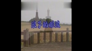庄学忠 - 浪子的眼泪