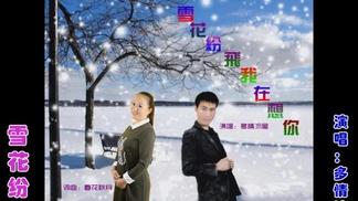 雪花纷飞我在想你封面