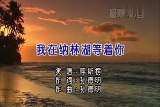 我在纳林湖等着你封面