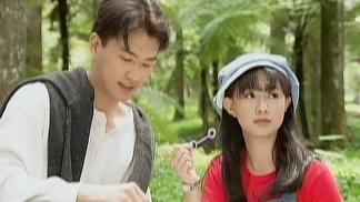 萍聚封面